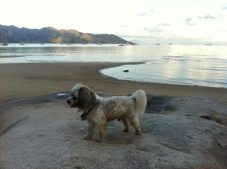 Executive Properties In North Ward Townsville And On Magnetic Island Zewnętrze zdjęcie